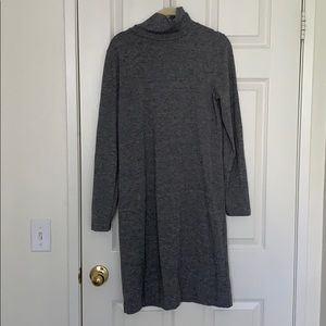 Jcrew long sleeve turtleneck dress